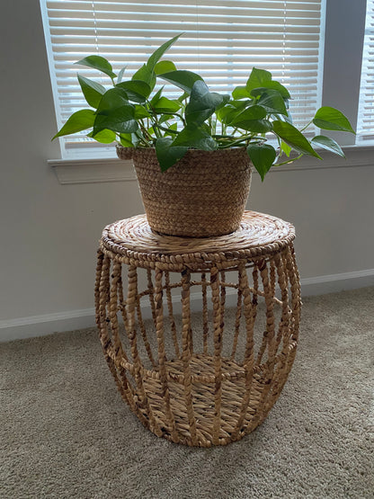 Wicker Rattan Plant Basket & Stand