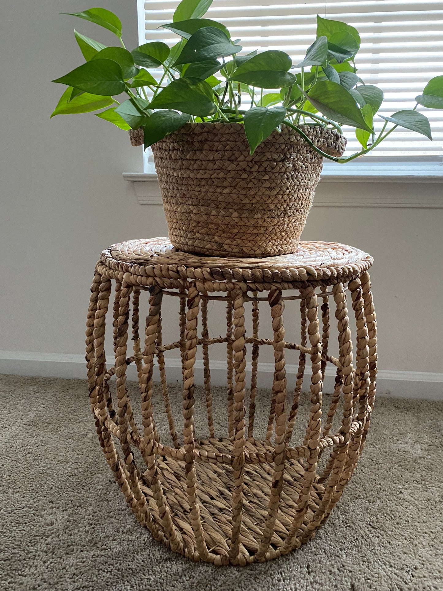 Wicker Rattan Plant Basket & Stand
